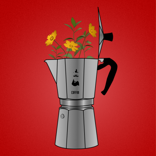 Moka Pot and Flowers