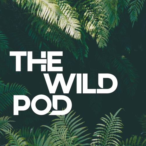 The Wild Pod Logo